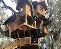 treehouses treehouses