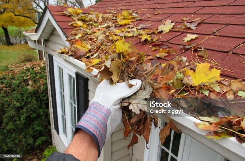 istockphoto-1064396034-1024x1024