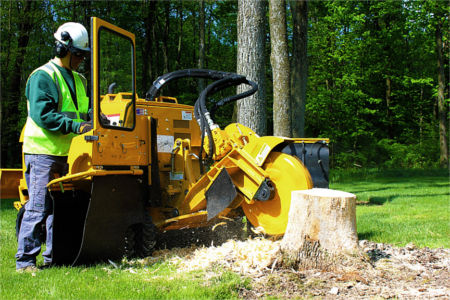 service-stump-grinding